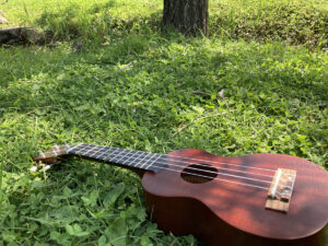 ukulele